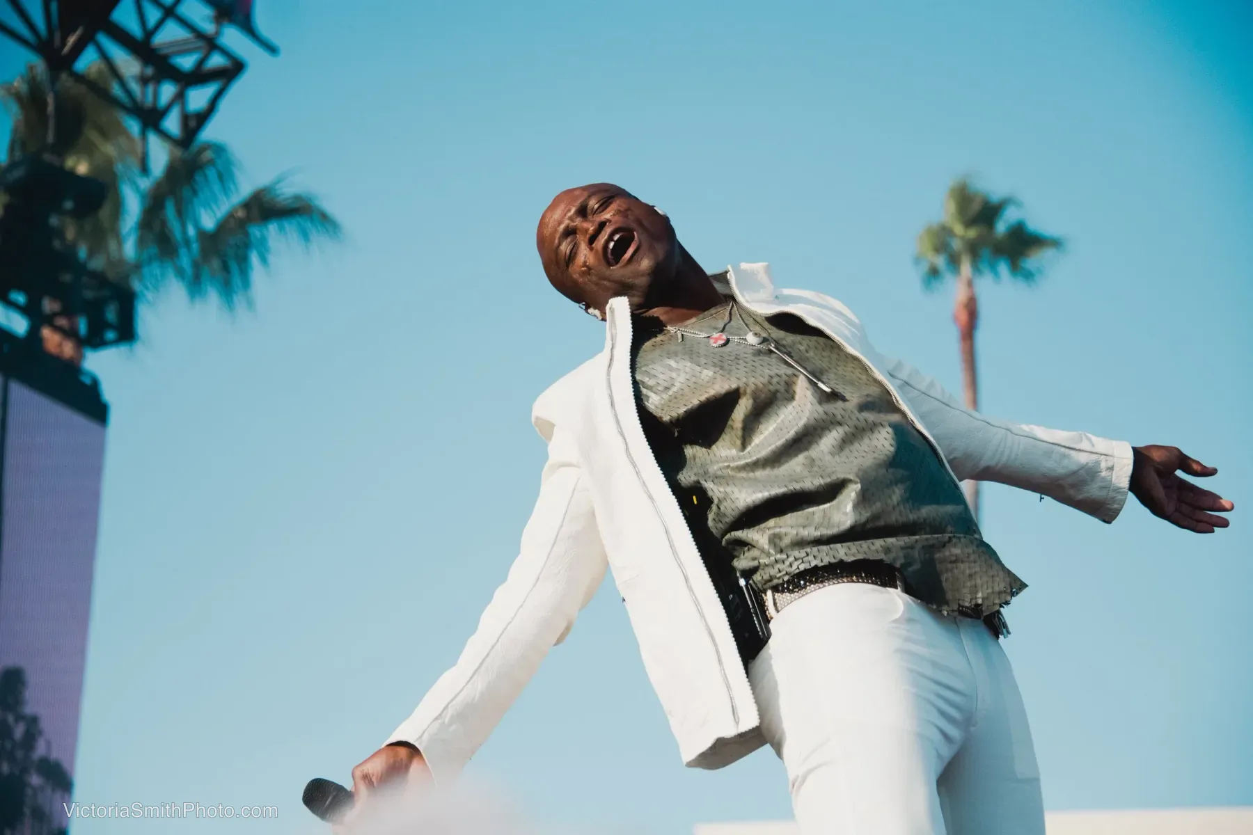Seal, Beach Life Festival, Redondo Beach 2024
